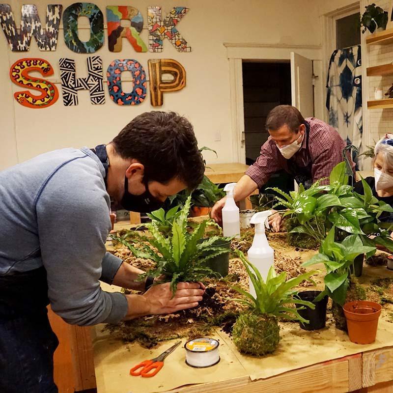 kokedama teambuilding and private parties